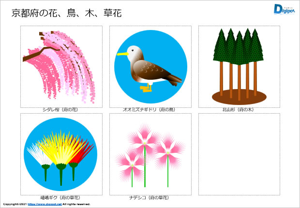 京都府の花、鳥、木、草花のイラスト画像2