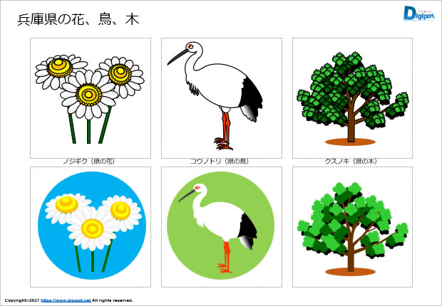 兵庫県の花、鳥、木のイラスト画像