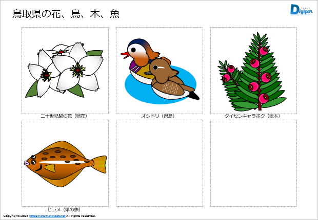 鳥取県の花、鳥、木、魚のイラスト画像