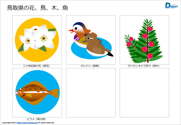 鳥取県の花、鳥、木、魚のイラスト画像2