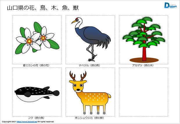 山口県の花、鳥、木、魚、獣のイラスト画像