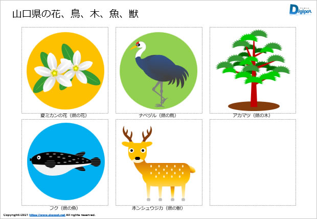 山口県の花、鳥、木、魚、獣のイラスト画像2