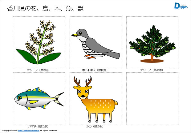 香川県の花、鳥、木、魚、獣のイラスト画像