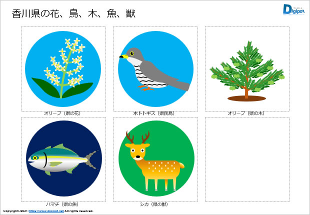 香川県の花、鳥、木、魚、獣のイラスト画像2