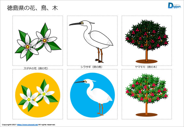 徳島県の花、鳥、木のイラスト画像