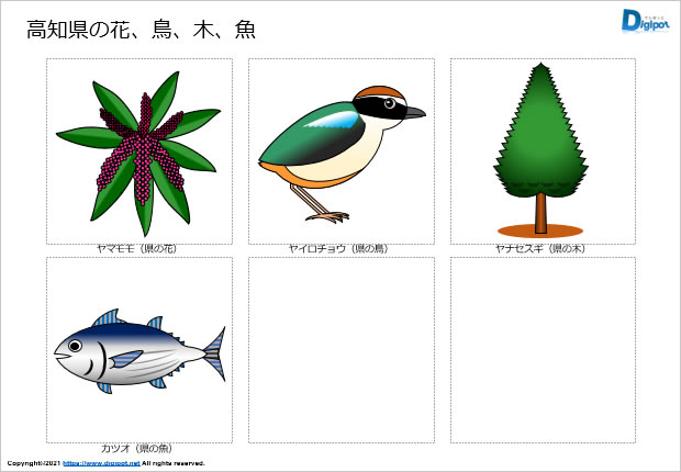 高知県の花、鳥、木、魚のイラスト画像