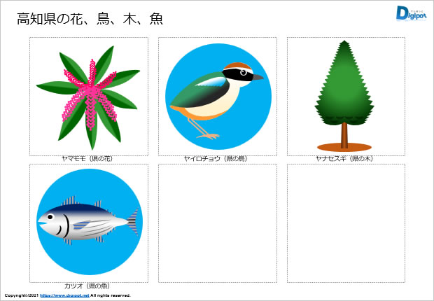 高知県の花、鳥、木、魚のイラスト画像2