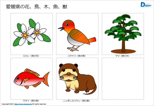 愛媛県の花、鳥、木、魚、獣のイラスト画像