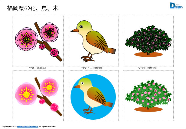 福岡県の花、鳥、木のイラスト画像