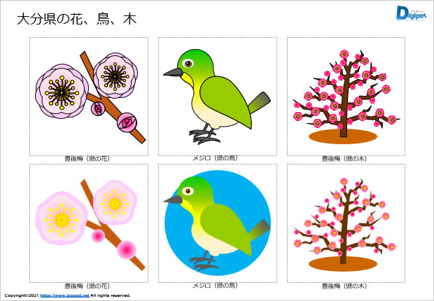 大分県の花、鳥、木のイラスト画像