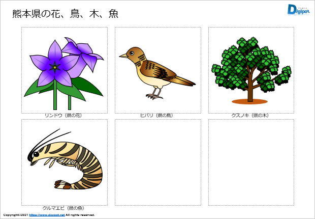 熊本県の花、鳥、木、魚のイラスト画像
