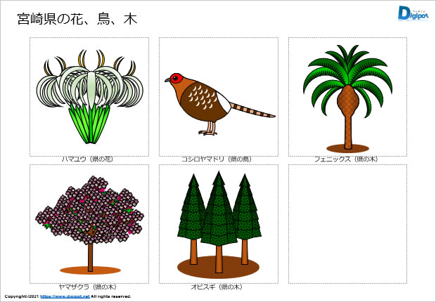 宮崎県の花、鳥、木のイラスト画像