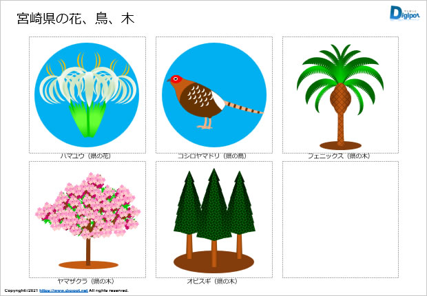 宮崎県の花、鳥、木のイラスト画像2