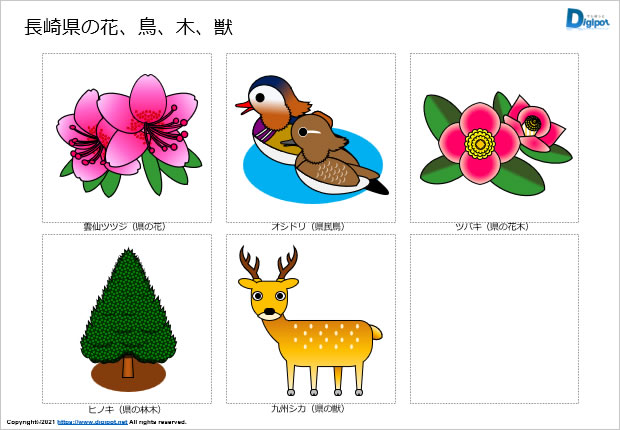 長崎県の花、鳥、木、木、獣のイラスト画像