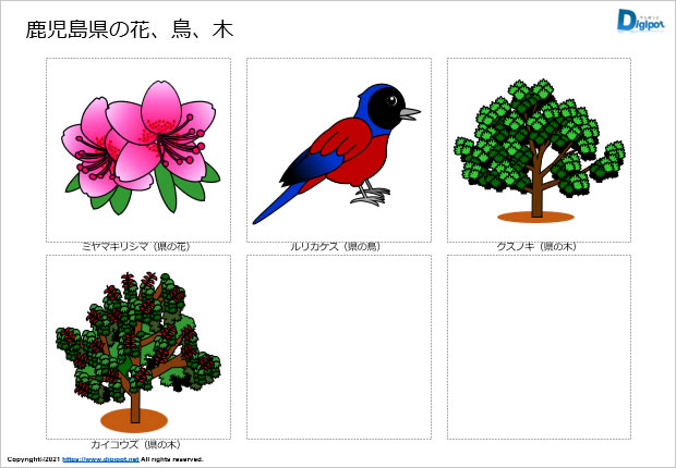 鹿児島県の花、鳥、木のイラスト画像