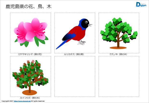 鹿児島県の花、鳥、木のイラスト画像2
