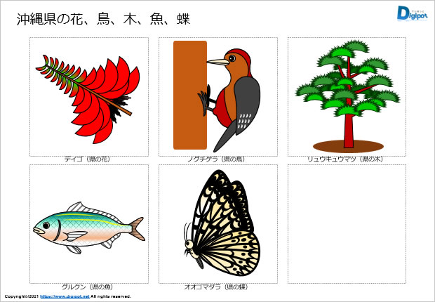 沖縄県の花、鳥、木、魚、蝶のイラスト画像