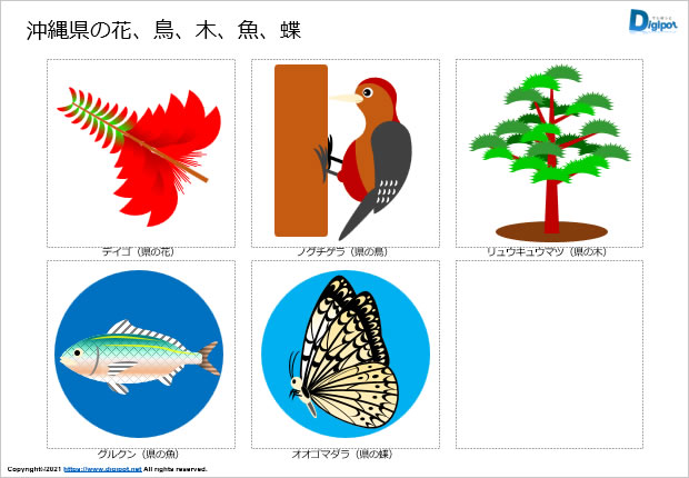 沖縄県の花、鳥、木、魚、蝶のイラスト画像2