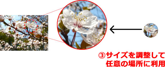 トリミングの方法説明画像4