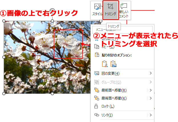 トリミングの方法説明画像1
