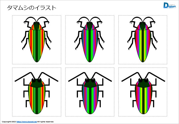 タマムシのイラスト画像