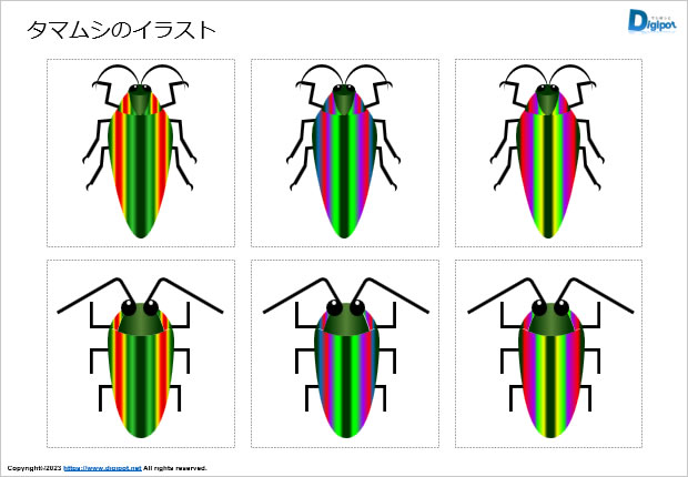 タマムシのイラスト画像2