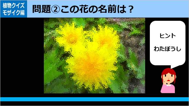 植物クイズ～モザイク画像4