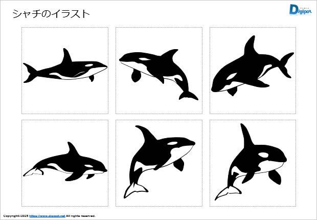 シャチのイラスト画像2