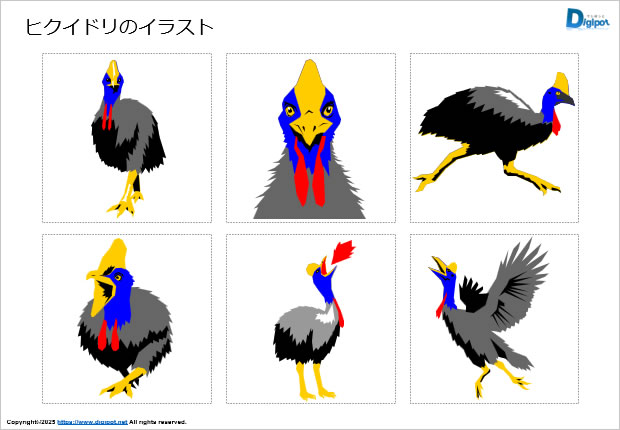 ヒクイドリのイラスト画像2