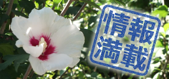 刻印文字のイラスト画像2