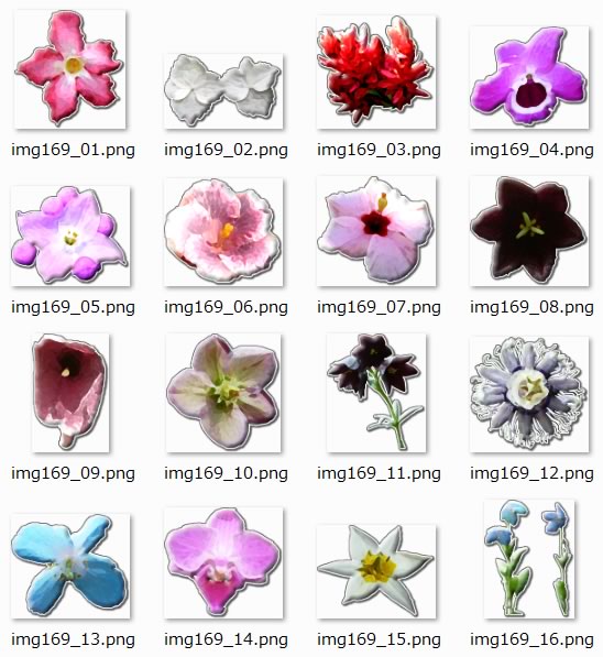 花の切り抜き Png形式画像 フリー素材 無料素材のdigipot