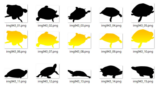 カメのシルエット Png形式画像 フリー素材 無料素材のdigipot