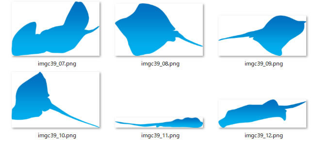 エイのシルエット イラスト画像 フリー素材 無料素材のdigipot