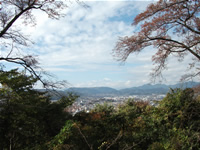 山の写真画像