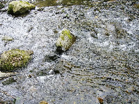 川の流れの写真画像
