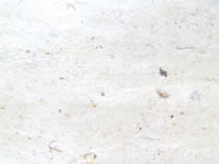 和紙の写真 写真フリー素材 フリー素材 無料素材のdigipot