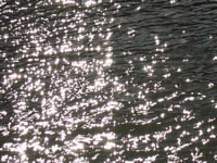水面の輝きの写真画像