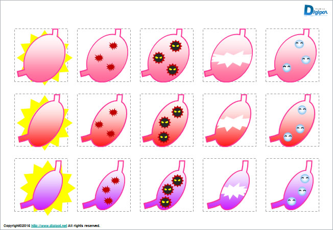 胃袋のイラスト画像2