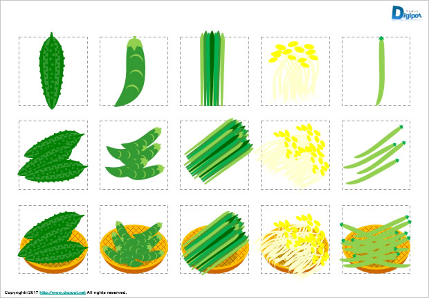 ゴーヤ サヤエンドウ サヤインゲン ニラ モヤシのイラスト パワーポイント フリー素材 無料素材のdigipot