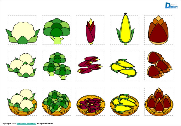カリフラワー ブロッコリー ミョウガ トウモロコシ タケノコのイラスト パワーポイント フリー素材 無料素材のdigipot