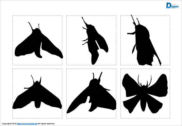 蛾のシルエット画像