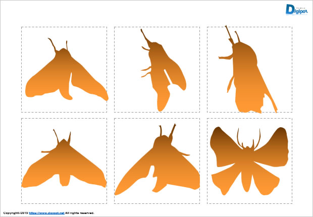 蛾のシルエット画像