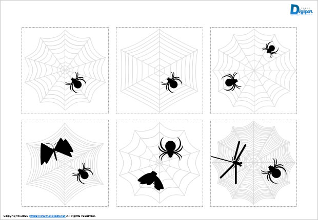蜘蛛の巣図形画像2