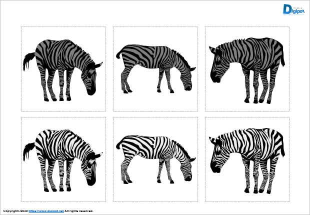 シマウマのシルエット画像2
