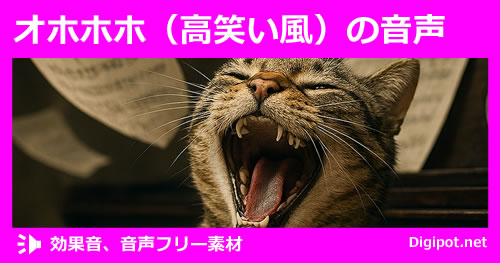 オホホホ（高笑い風）の音声のイメージ画像