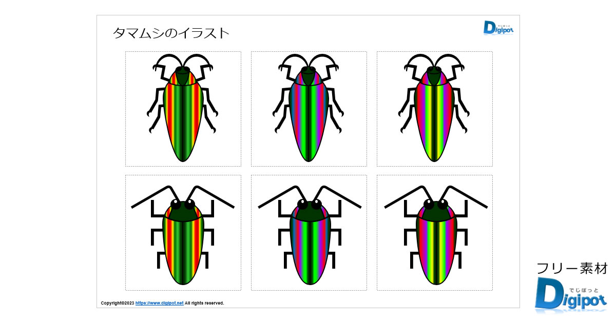 タマムシのイラスト画像