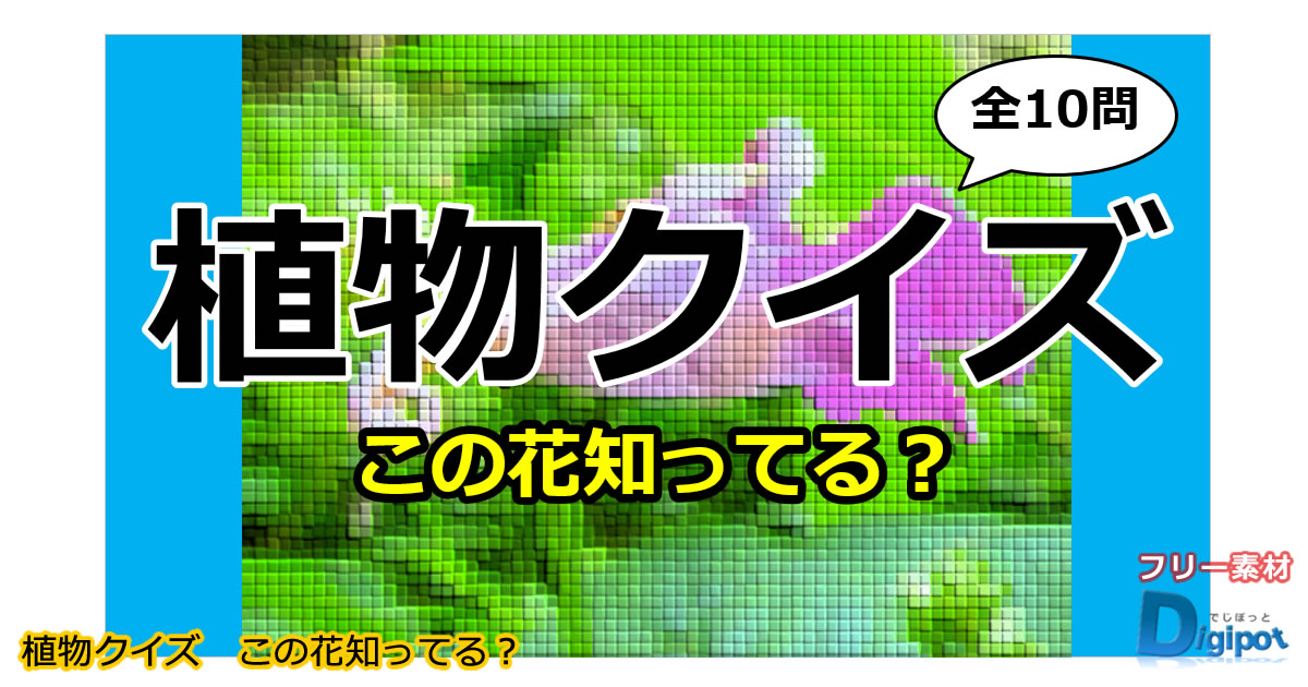 植物クイズ～知ってる？