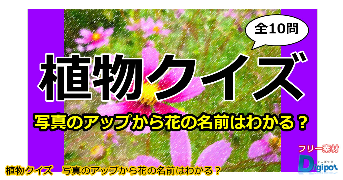 植物クイズ～花の一部