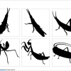 バッタ、カマキリのシルエット画像