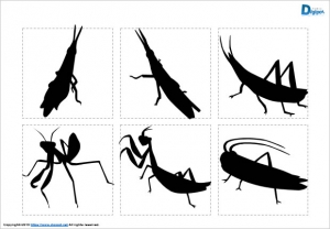 バッタ、カマキリのシルエット画像